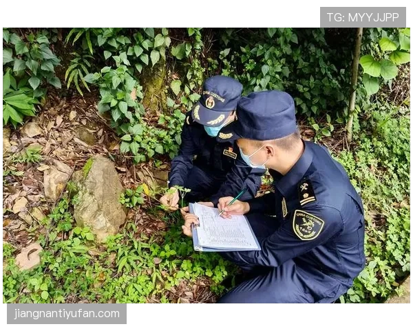 防线前第一道屏障：乌加特的防守价值解析