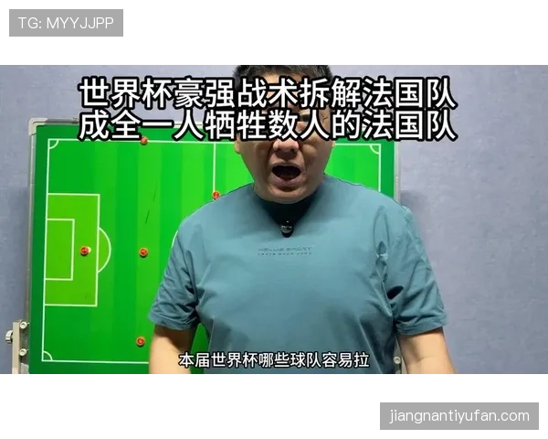 法国队世界杯战术打法分析
